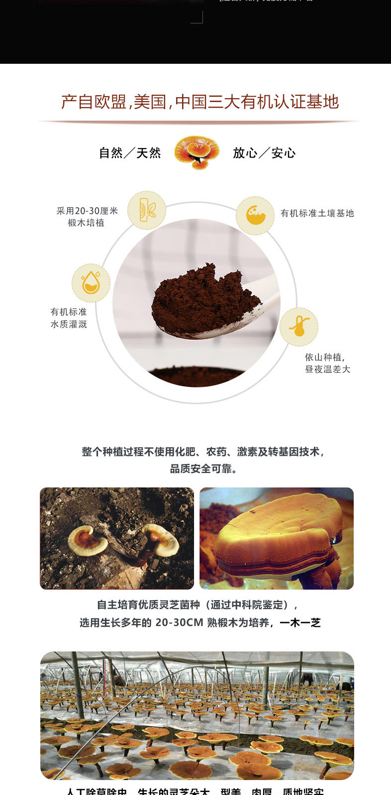 破壁灵芝孢子粉-120g_02.jpg